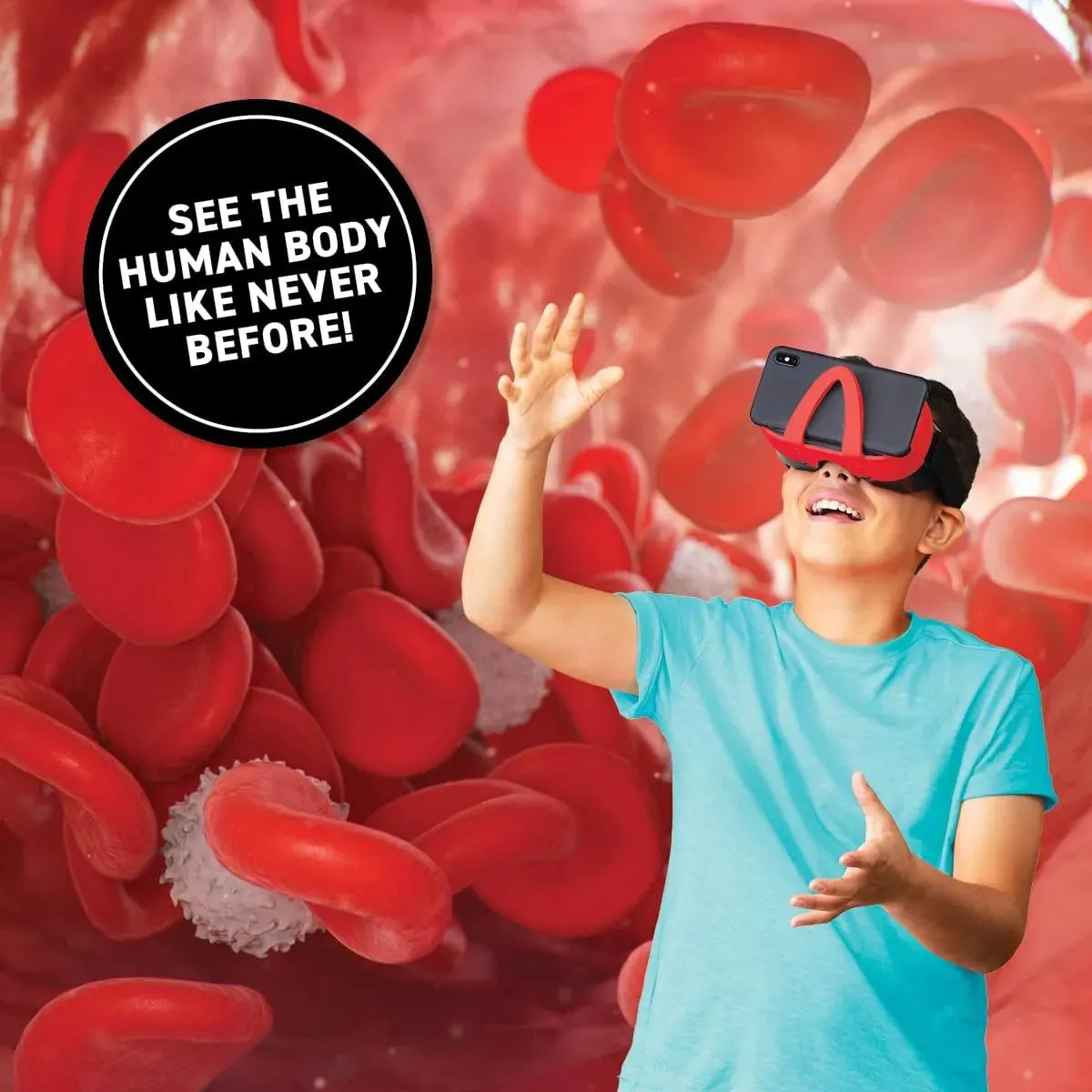 Abacus | Virtual Reality Gift Box | Human Body