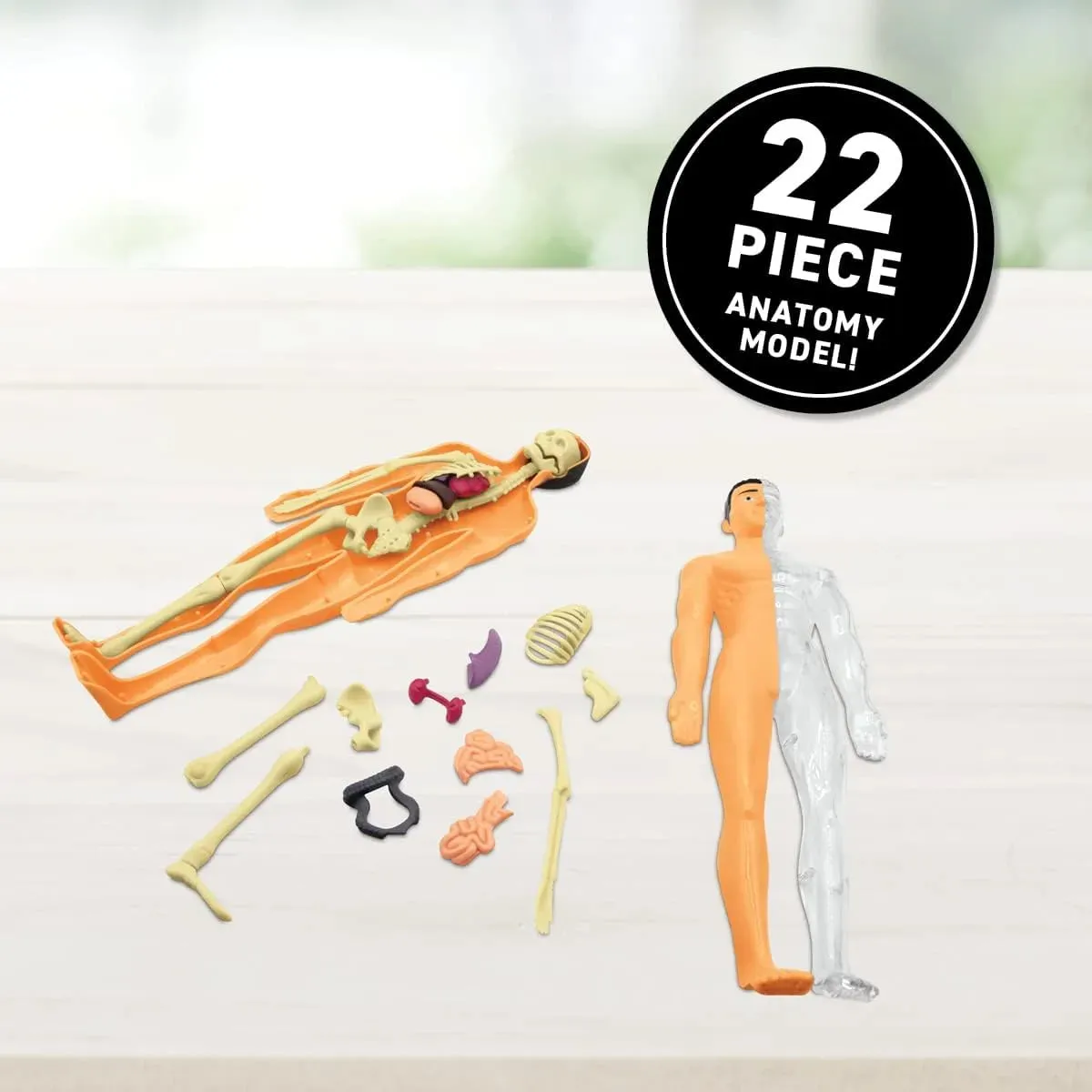 Abacus | Virtual Reality Gift Box | Human Body