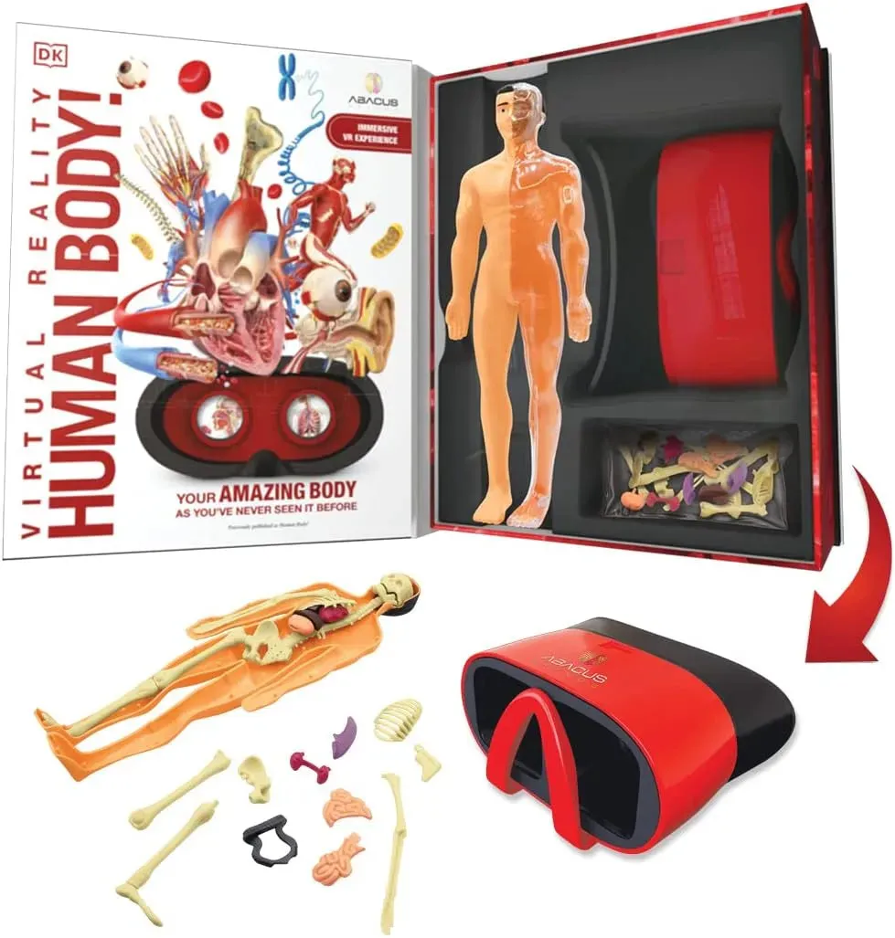 Abacus | Virtual Reality Gift Box | Human Body