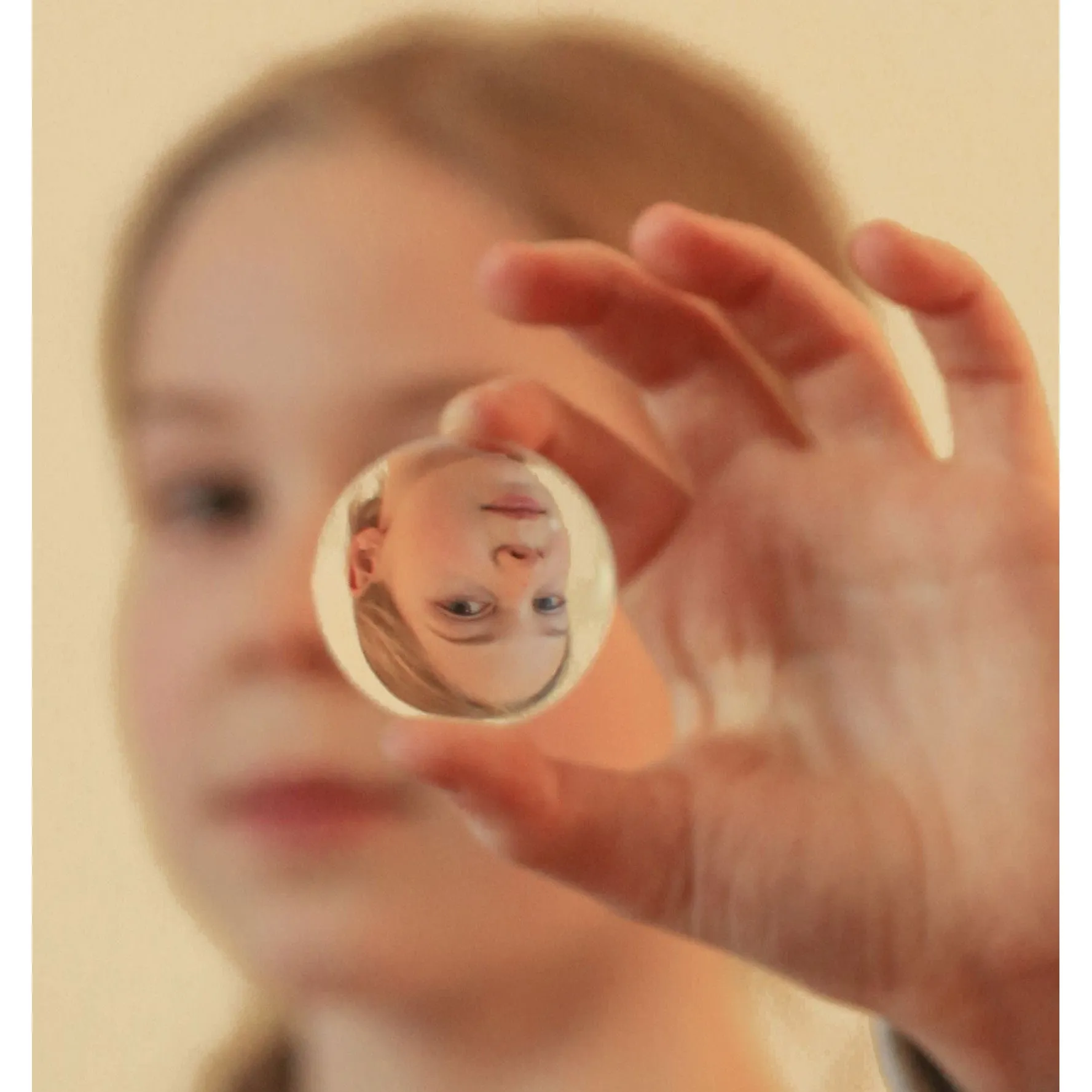 Camera Obscura