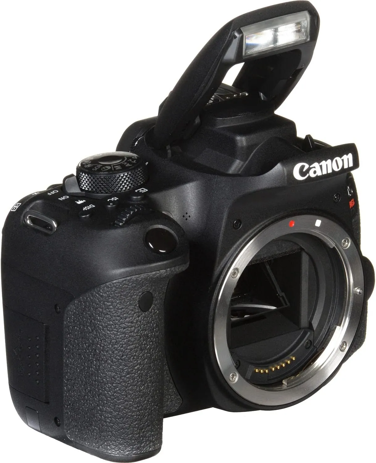 Canon EOS Rebel 800D / T7i DSLR Camera   64GB Memory Card   Case Base Bundle